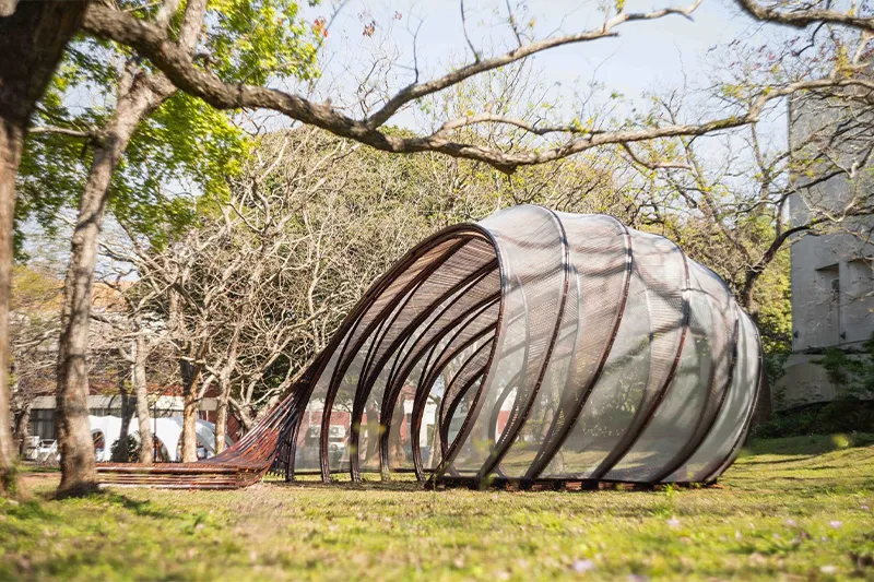 2024 Bamboo Expo and World Bamboo Congress: Hsinchu Exhibition at NYCU Illustrates Carbon-Reducing Lifestyle with Bamboo