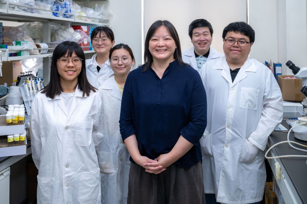 果蠅大腦揭巴金森氏症「腦中清潔系統」關鍵開關