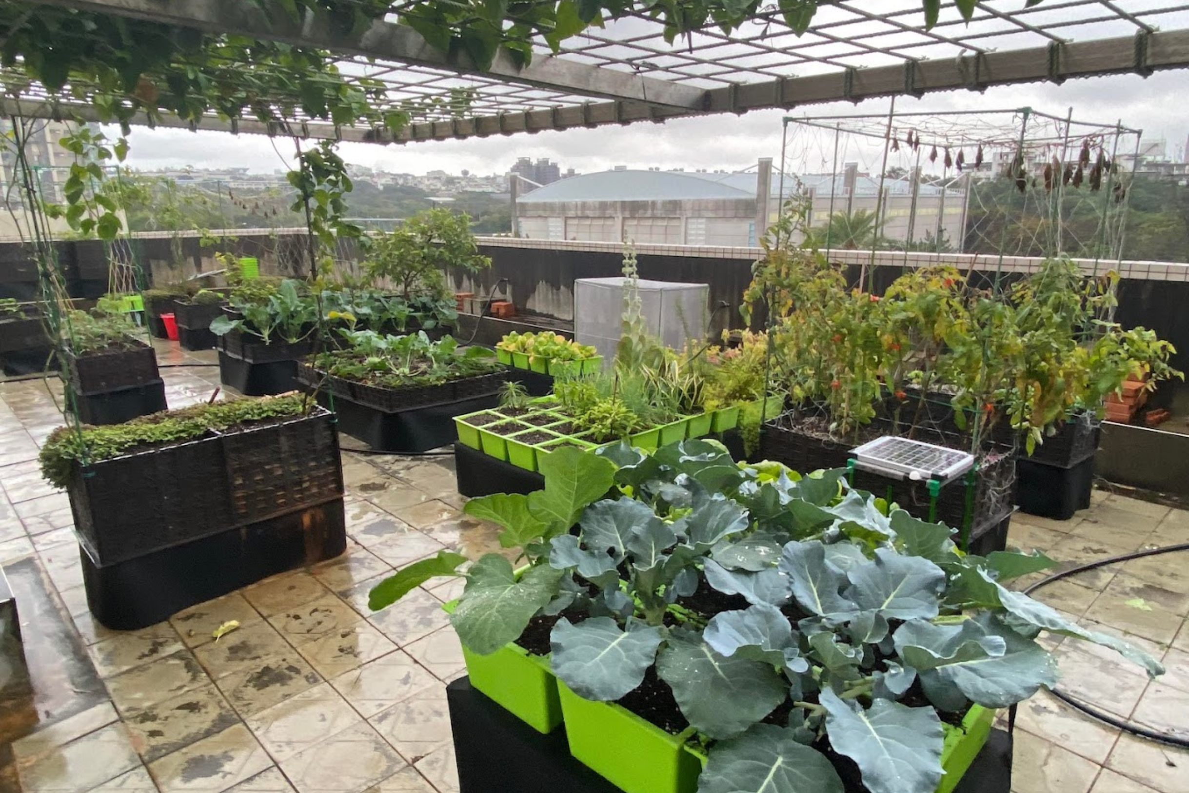 Championing Net-Zero Emissions：Institute of Environmental Engineering’s DIYGreen Urban Farming System Revolutionizes Sustainable Living